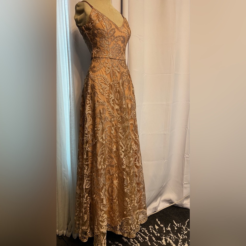 Xtraordinary Sleeveless V-Neck Embroidered Mesh Overlay A-Line Long Dress Size 3
